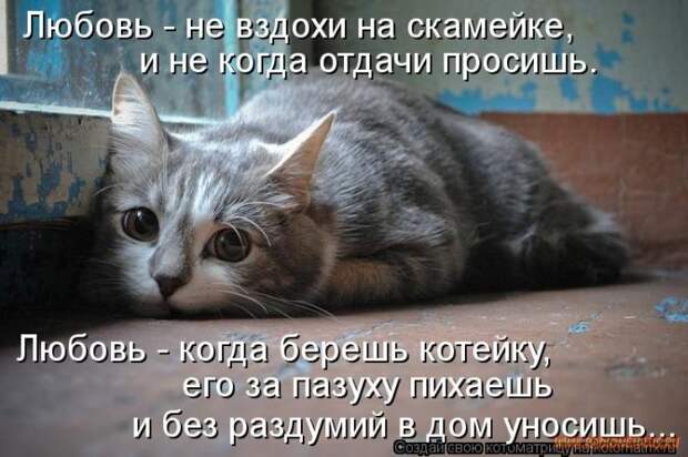 Уфф!!! Ну наконец-то! Котоматрицы великолепные, каждая с улыбкой и хорошим настроением!