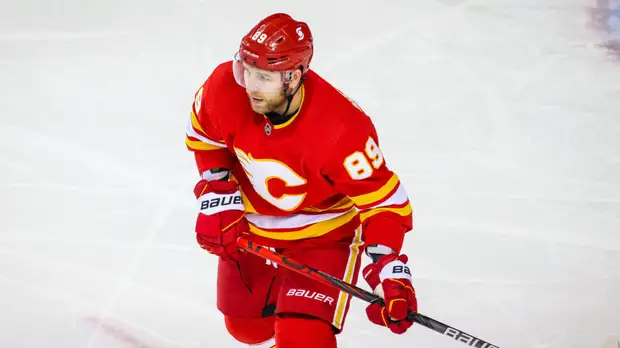 Нестеров сыграет за сборную России по хоккею на ЧМ