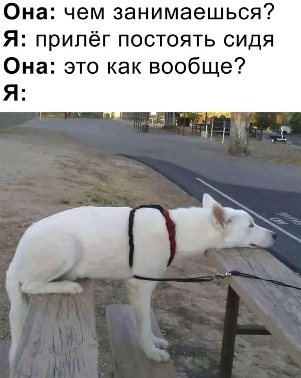  — Доктор, у меня бессонница...