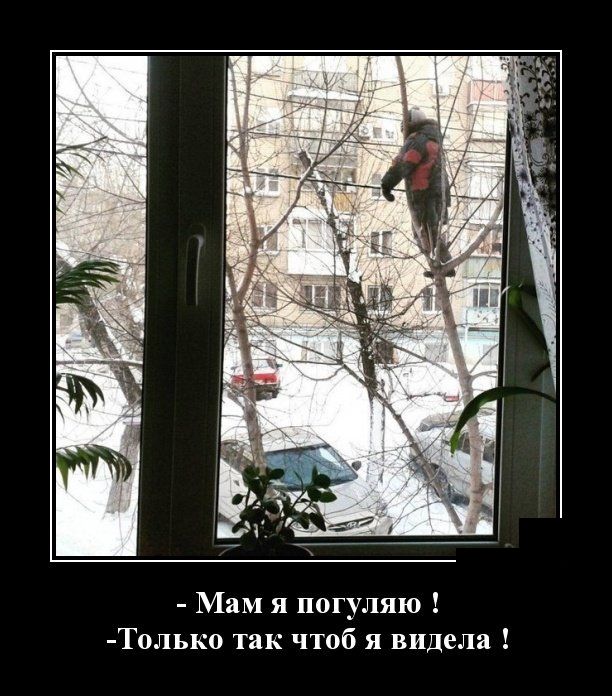 Демотиваторы (30 фото)