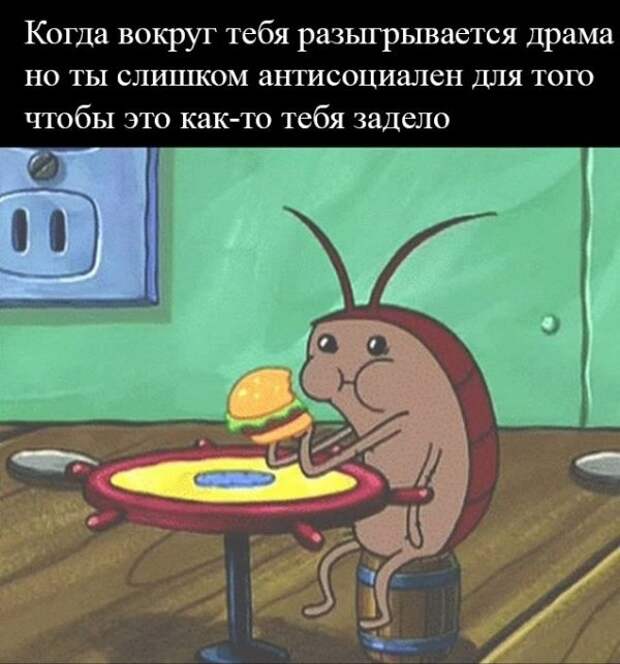 Прикольные картинки Прикольные картинки