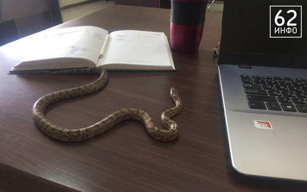 Митрополит Рязанский и Михайловский Марк ответил, с чего начинается грех