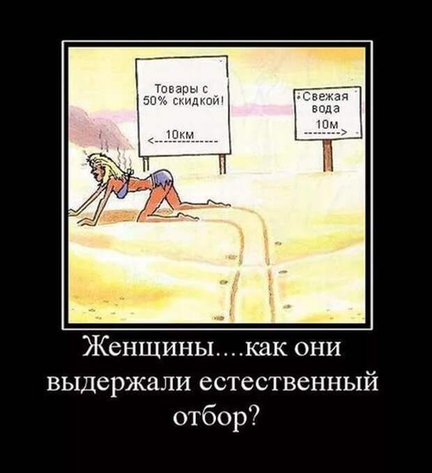 Веселые демотиваторы про девушек (11 фото) Веселые демотиваторы про девушек (11 фото)