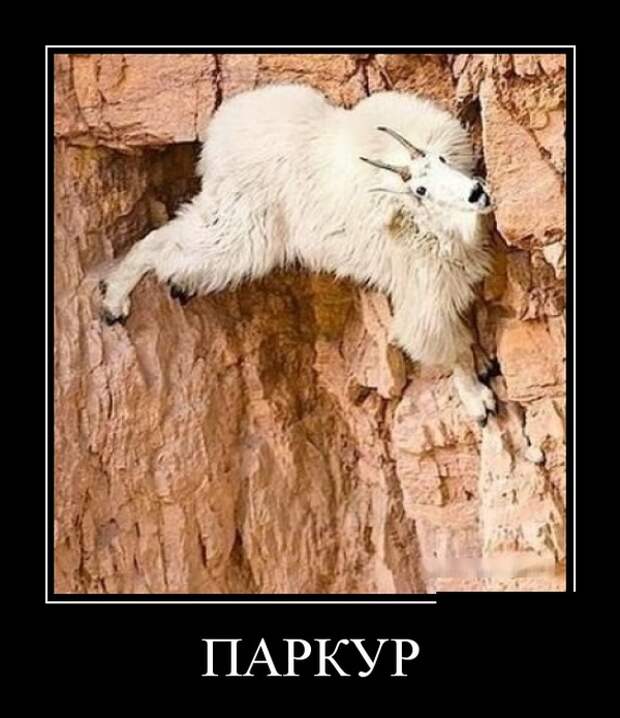 www.vsyako.net