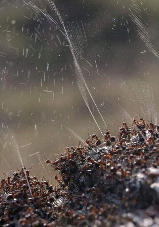 16 удивительных явлений из нашего мира в интересных фотографиях