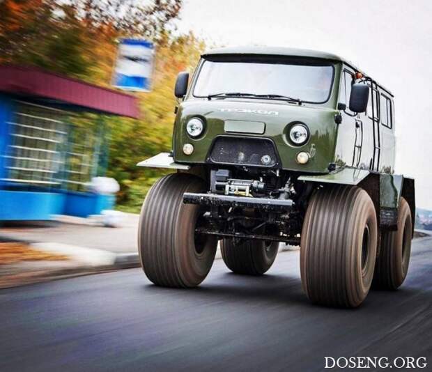 Прикольные картинки