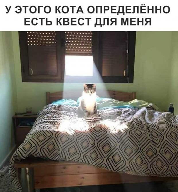 Легкий и непринужденный юмор в картинках Легкий и непринужденный юмор в картинках