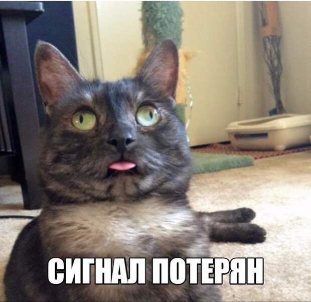 QXFegdBX0AE