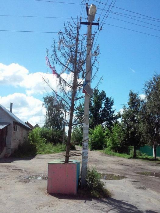 Картинки, юмор, приколы