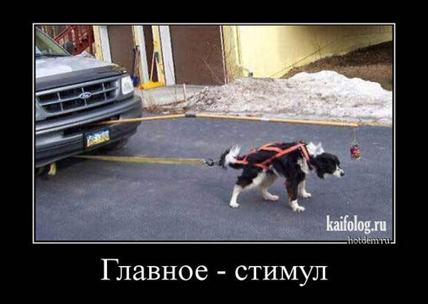 Демотиваторы на авто тему (45 демок)