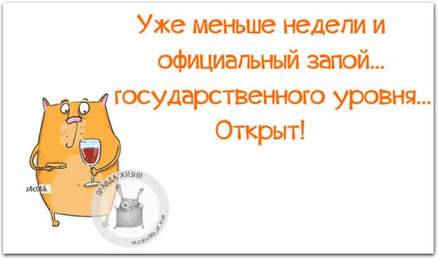 Немного новогодней «Правды жизни» (30 картинок)