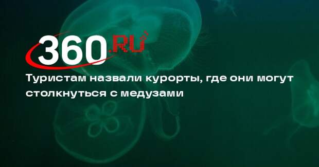 Эксперт Мильченко: медуз часто можно встретить у побережья Индии и в Египте