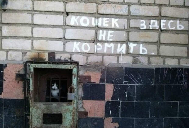 Преступник обезврежен.