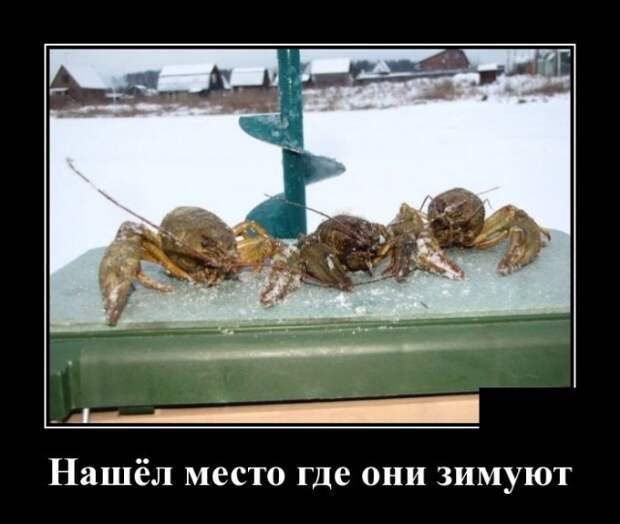 www.vsyako.net