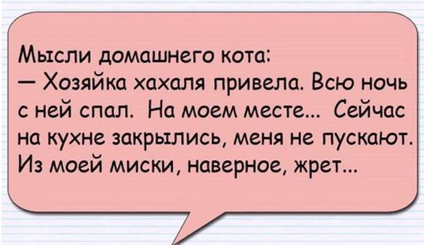 Парень решился жениться, скромный был очень, приходит к пацанам и спрашивает