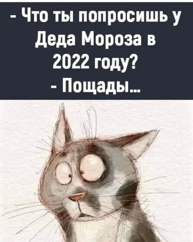 Печально, очень печально, когда тебя просят втянуть живот, а ты уже втянул Печально, очень печально, когда тебя просят втянуть живот, а ты уже втянул столько, чтобы, зовут, автобус, будет, обезьян, сделать, Hормальное, когда, Попрыгай, последних, нормальное, Hастроение, спрашивает, Аркадий, троллейбус, ничего, сказал, слово, парень