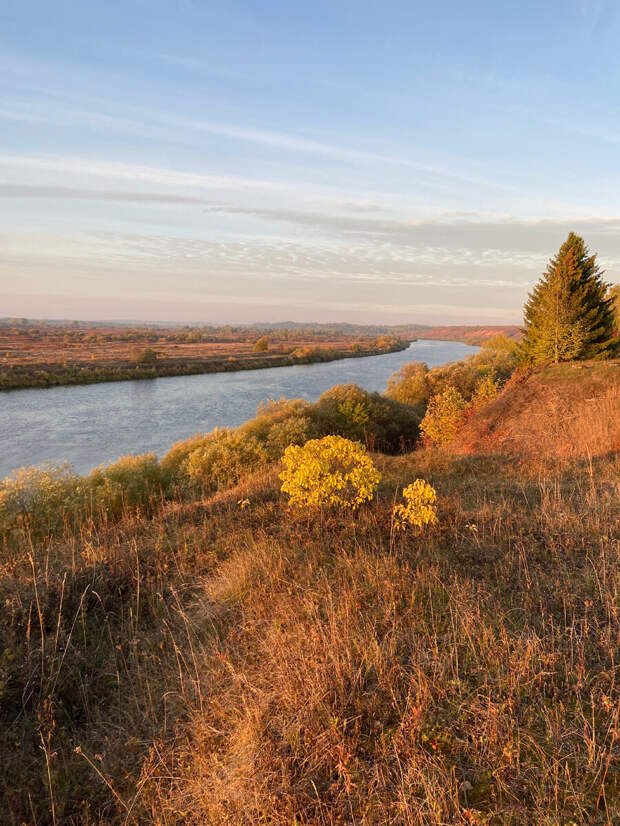 бронзовая осень на берегах реки Молома