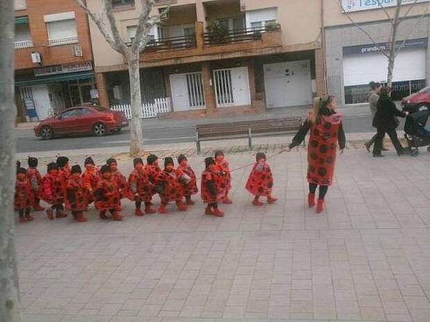 Прикольные картинки