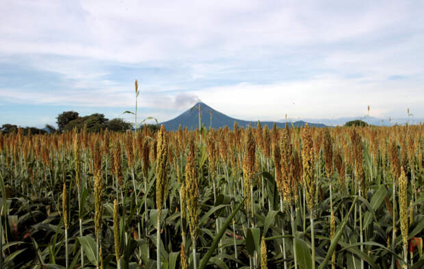 Туристка с тремя детьми поехала на экскурсию в Никарагуа и не выжила во время аварии