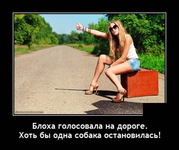 Демотиватор про автостопщиков