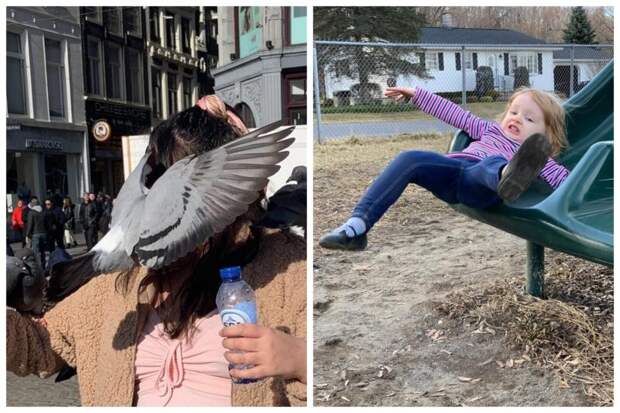 20 фото, сделанных в самый подходящий момент