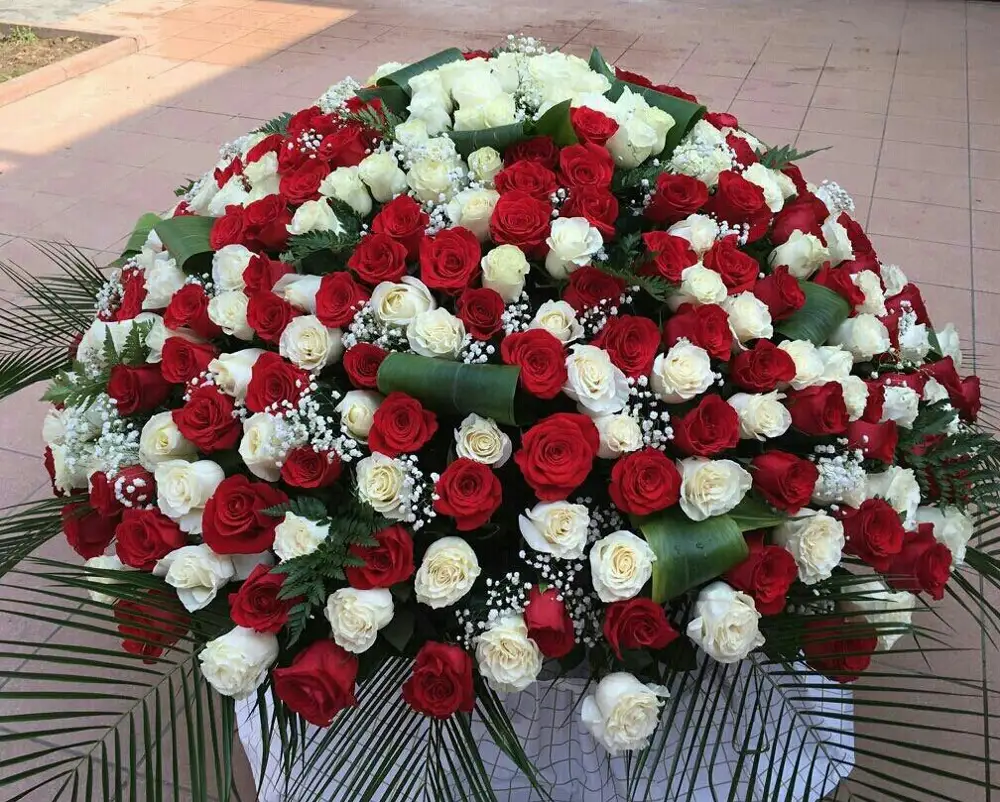 Картинки зодрузи хохарам