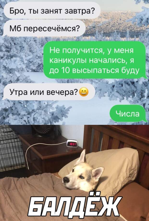 Смешные картинки 27 декабря 2021 года
