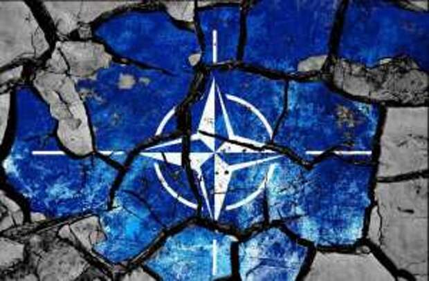 Россия не позволит Украине вступить в НАТО, — экс-советник Ющенко