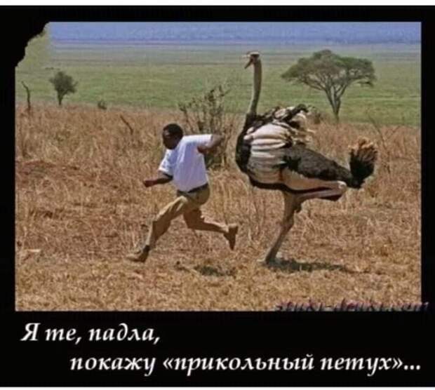 Улыбнись