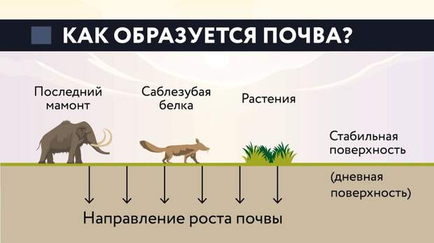 Культурный слой: что о нем думают те, кто его никогда не видел, и какова реальность