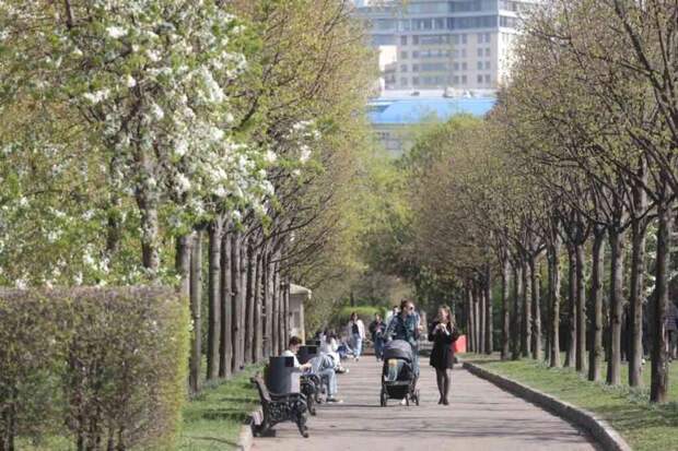 Синоптики пообещали москвичам аномальное тепло
