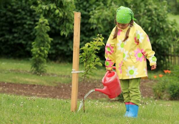 Девочка поливает яблоню
