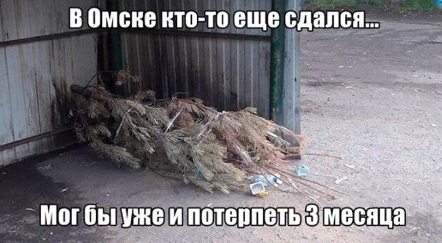 www.vsyako.net