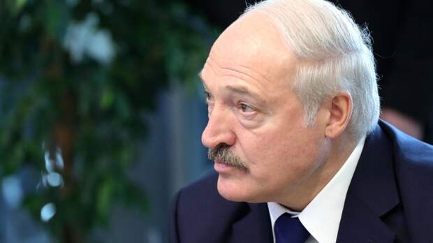 "Белоруссия зарабатывает на России в 10 раз больше": Лукашенко одёрнули после его слов о российском газе