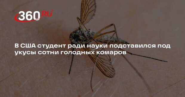 В США студент ради науки подставился под укусы сотни голодных комаров