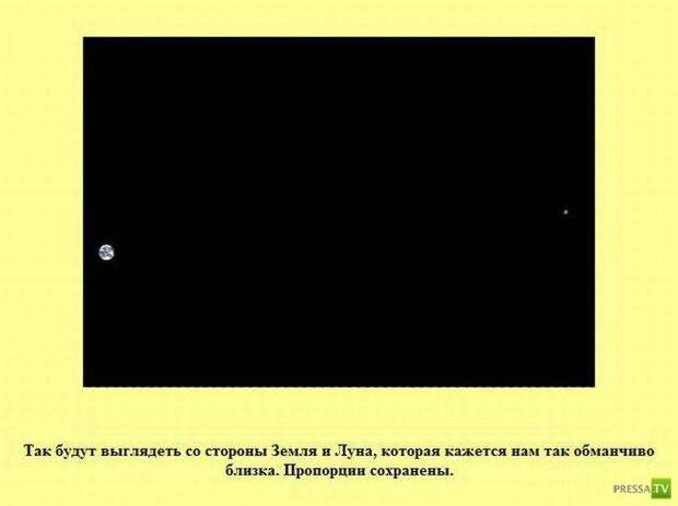 Прикольные факты о которых вы не знали
