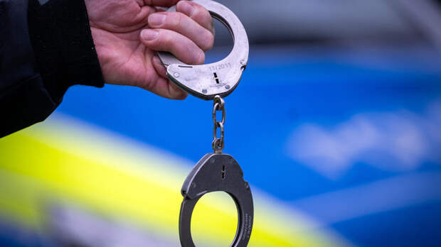 Преступную группу с участием депутатов Рады разоблачили на Украине