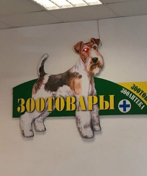 Магнетизм нэйминга и наружной рекламы  вывеска, дизайн, магазин, маркетинг, прикол, реклама, шедевр, юмор