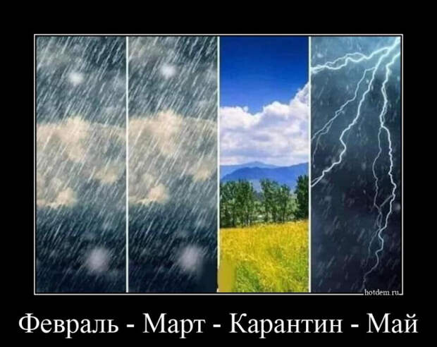 1591339623_demki-8.jpg