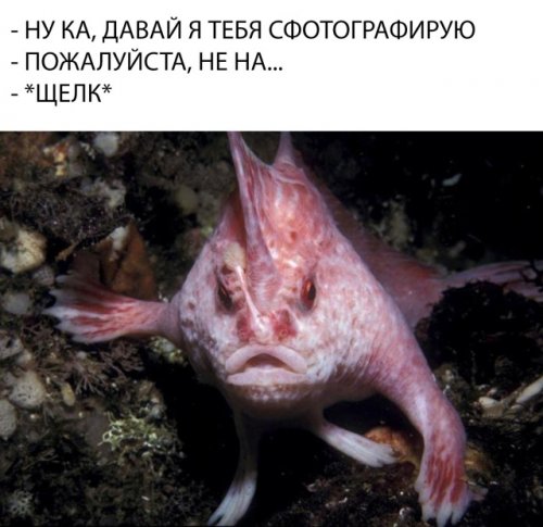 Прикольные картинки и фото 9 сентября (22 шт) Прикольные картинки и фото 9 сентября (22 шт)