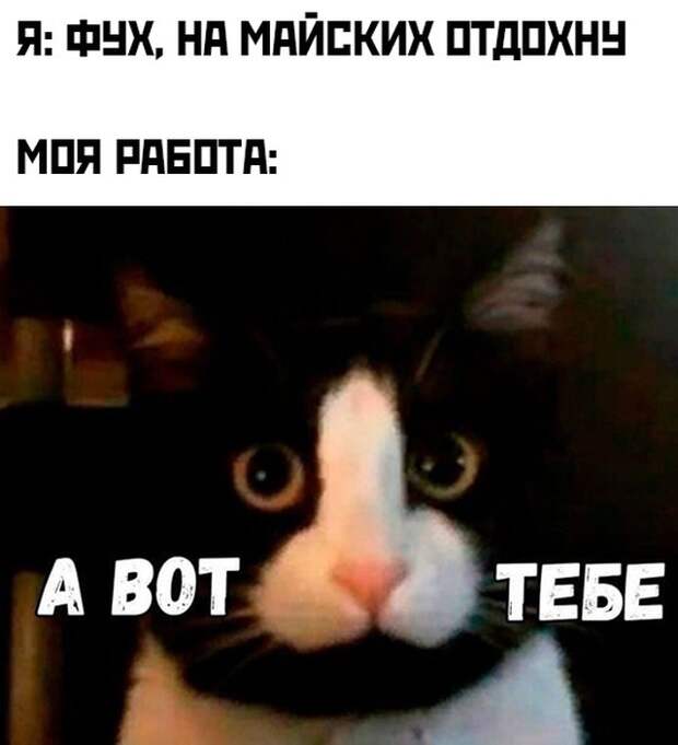 Смешные картинки вечер 29 апреля 2021
