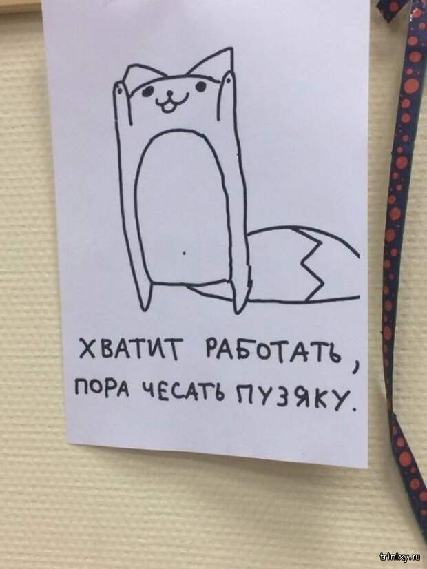 Когда начальник в отпуске (14 фото)