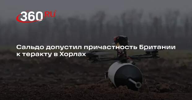 Сальдо не исключил причастности британских спецслужб к удару по Хорлам