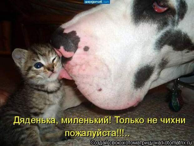 Мысли вслух :)