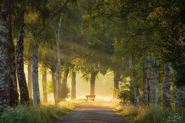 The bench in spring light by Martin Podt on 500px.com