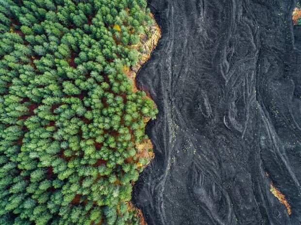 10 лучших снимков с конкурса фотографии дикой природы National Geographic