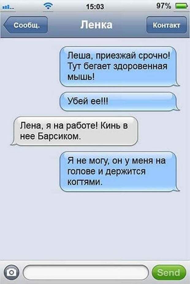 19 ну очень смешных SMS семейной пары