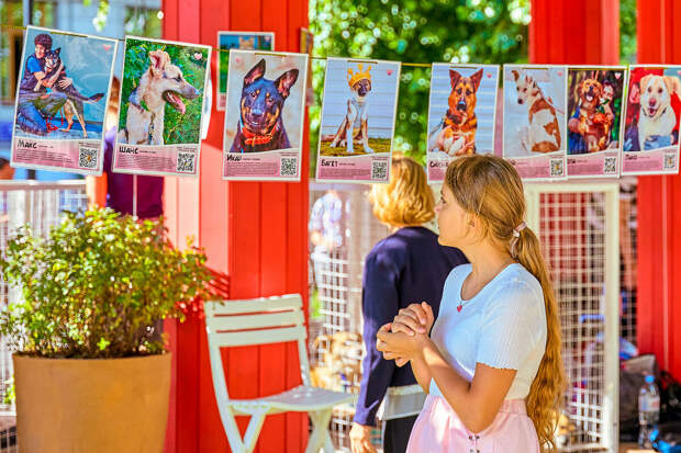 Москвичи смогут забрать животных из приютов на празднике "Моспитомца"