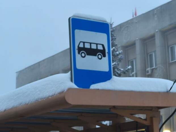 В Тульской области отменен подвоз школьников из-за снежного циклона