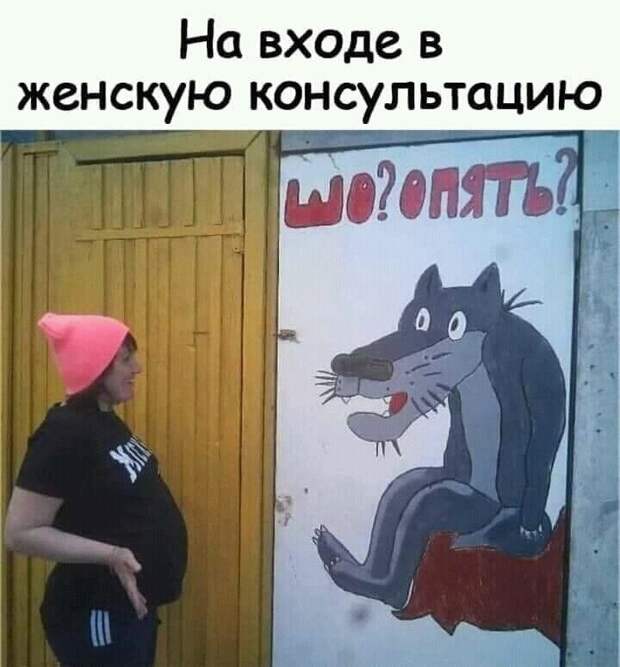 139c028f01479c4894620c244cf3755fc5b223aaa7323b4200336553ee06e6bc-1.jpg